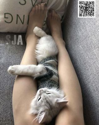 成人公开视频在线观看_超清高清完整版